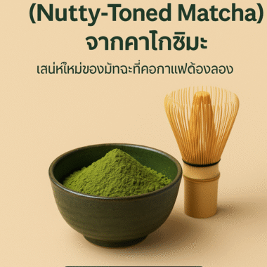 สายพันธุ์มัทฉะญี่ปุ่น : เข้าใจรากเหง้าเพื่อชงชาอย่างรู้จริง
